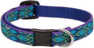 Lupine Cat Collar with Safety Buckle 1/2 inch “Rain Song”