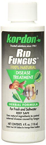 KORDON Rid Fungus 4 oz